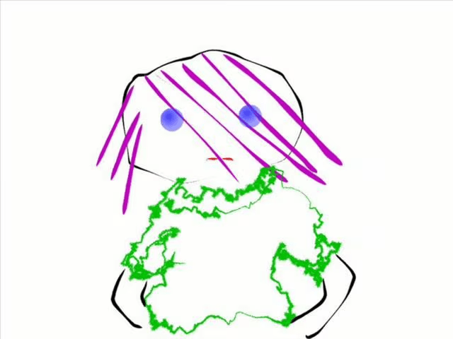 3am Improv Thoughts from Jill&nbsp;Bernard